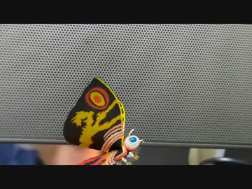 男性が部屋の中を歩き回るだけの動画