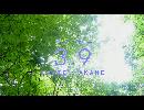 【AKANE】39【踊ってみた】