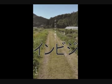 インビジ / SOBORON　KURAKU-RA　TORINIGATION