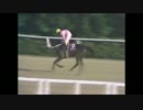 【ウイニングポスト8 2015】女馬主と早世馬の新世界【実況プレイ】39