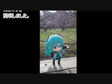 まったり田舎暮らし　その２４