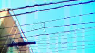 ハーフが　I Can't Stop Fall in Love　歌ってみた【Luca】