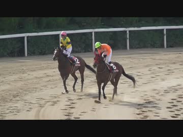 【現地撮影】第16回園田チャンピオンシップ・クロスクリーガー