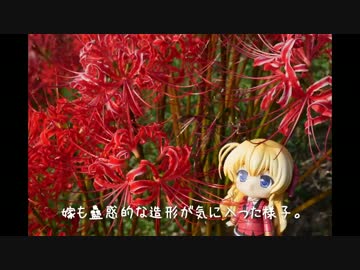 ニート、旅をする【97日目・後編】