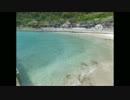 チャウチャウのぶらり旅？～丹後半島へ行ってきたの巻？！～