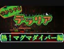 【実況】今からやるテラリア- #11