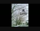 【nijiniji 】嵐 GUTS!  女子が歌ってみた 【音質たぶん向上！】