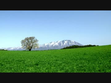 【お気楽バイク旅】GWツーリング北東北の旅【MT-07】