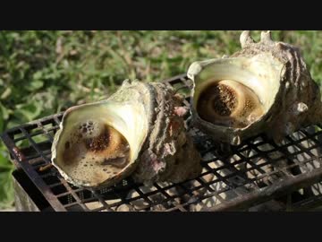 癒しのキャンプ その7