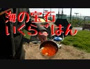 【NC700X】バイク と 朝市 と 庭キャンプ