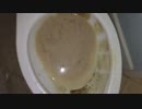 ホットココアをトイレに流してみた