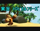 【ドンキーコングトロピカルフリーズ】会長の島を救う冒険記9【実況】
