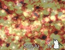 【ニコラップ】SunJu 【トラック提供】