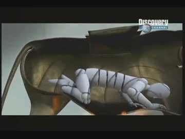 ホモと学ぶ拷問と処刑～古代～ 1