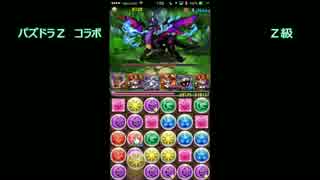 コインのパズドラZコラボ　リニューアル  Z級　悪魔パで