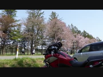 冬眠からの目覚め　2015　そしてGW