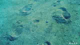 『ニコカラ』転校前夜 ～off vocal(ハモリあり)～