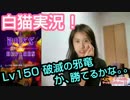 【実況・白猫プロジェクト】Lv150破滅の邪竜に挑戦！か、勝てるかな。。