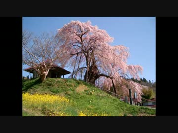 さよならする気ないメモリーズ