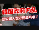 【韓国政府内乱】 慰安婦人数で阿鼻叫喚！（★こっちが本物）