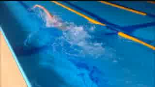 人気の クロール 動画 93本 ニコニコ動画