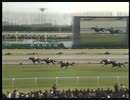 1996 洛陽ステークス