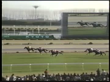 1996 洛陽ステークス