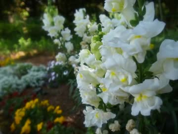 1泊2日 伊豆ビアバー巡りの旅（1日目[昼]）