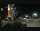 【心霊気違】赤い電波塔に映る霊の影...!!《東京タワー(芝公園)》