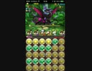 パズドラZ コラボ Z級 俊才の臥龍神・諸葛亮PT