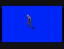 走るKBTIT.BB.mp4