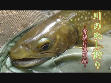 【実写版】川のぬし釣り -雪解けの荒れ川！編-