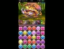 パズドラ　極限大和ラッシュ　ゼウスヘラ×おでん　ガチャ限無　解説付