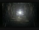 流行に激しく乗り遅れたビビリPart23 【零　紅い蝶】
