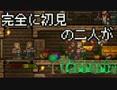 [実況]　完全に初見の二人がテラリア　part35