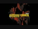 Avishai Cohen - Central Park West
