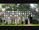 【ゆっくり怪談】世田谷にある荘厳な洋館【怖い話】
