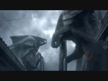 MUTOのオス(左)とメス(右)