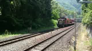 嵯峨嵐山トロッコ列車(ハプニング有り)