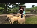 【羊・牛・馬・兎】高千穂牧場【鹿児島