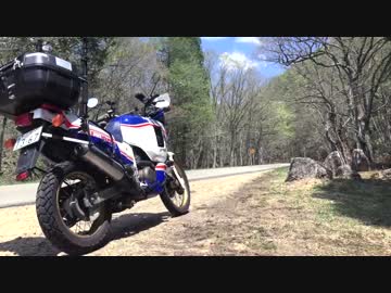 【バイク車載】新緑のせせらぎ街道走ってきた