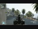 【CoD:BO2】島根にガチ勢なんているわけないだろっ！【S&D実況】part71