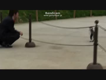 ペンギンと話す王子