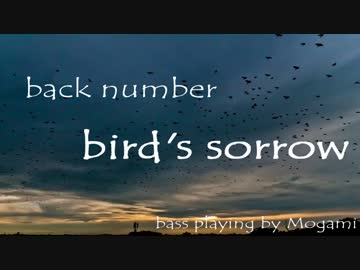 【もがみ】 bird's sorrow - back number 【ベース弾いてみた】