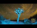 New Consciousness Review