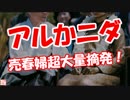 【アルかニダ】 売春婦超大量摘発！