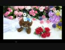 ポケットティーカップ-極小ティーカッププードル404.mp4