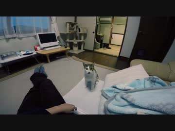主観AV