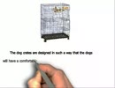 Soft Dog Crates Petsmart