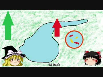 ビオトープを作る。Part1